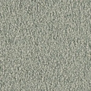 Preview: Vorwerk Violetta 54A8 – Draufsicht Teppichboden Farbe 54A8 ohne Badge